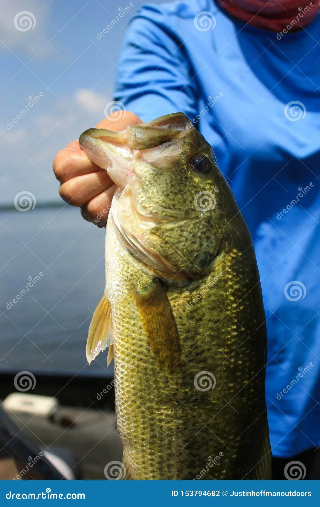 重草穿透（Punching）：当你遇到密不透风的浮萍，德州钓组就该升级了