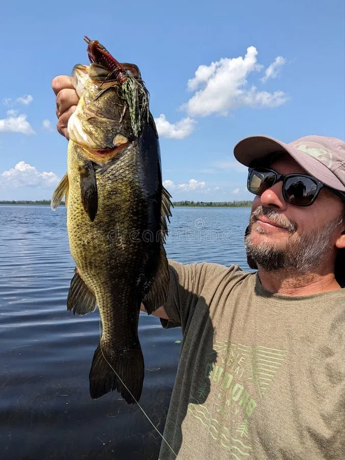 Jerkbait 的颜色密码：别再纠结电镀还是哑光，看懂水质才是关键