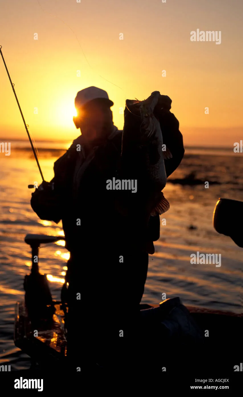 水面系（Topwater）的致命停顿：为什么你的铅笔总是遭到“假咬”？