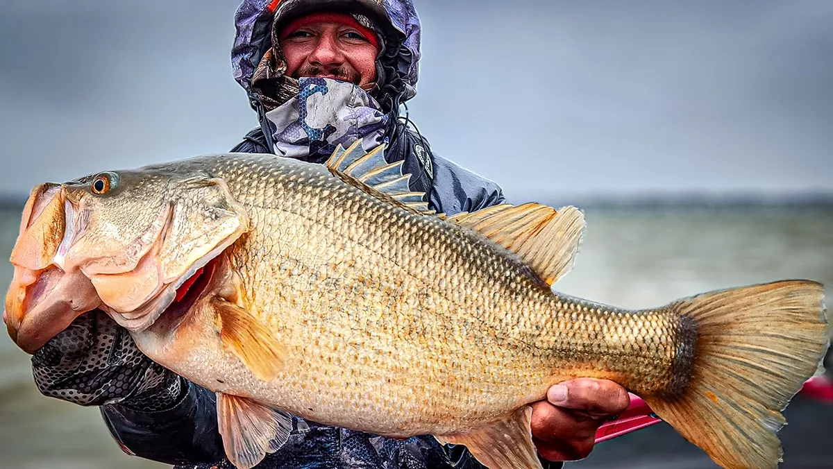 Senko (面条虫) 的隐秘杀机：为什么无铅 Wacky 是压力水域的最终答案？