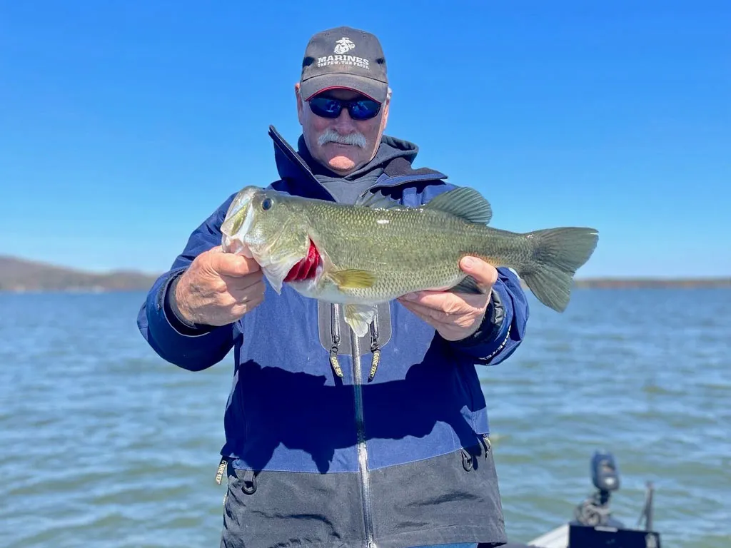 Soft Plastic Toads vs. Hollow Body Frogs: Know the Difference Before You Cast