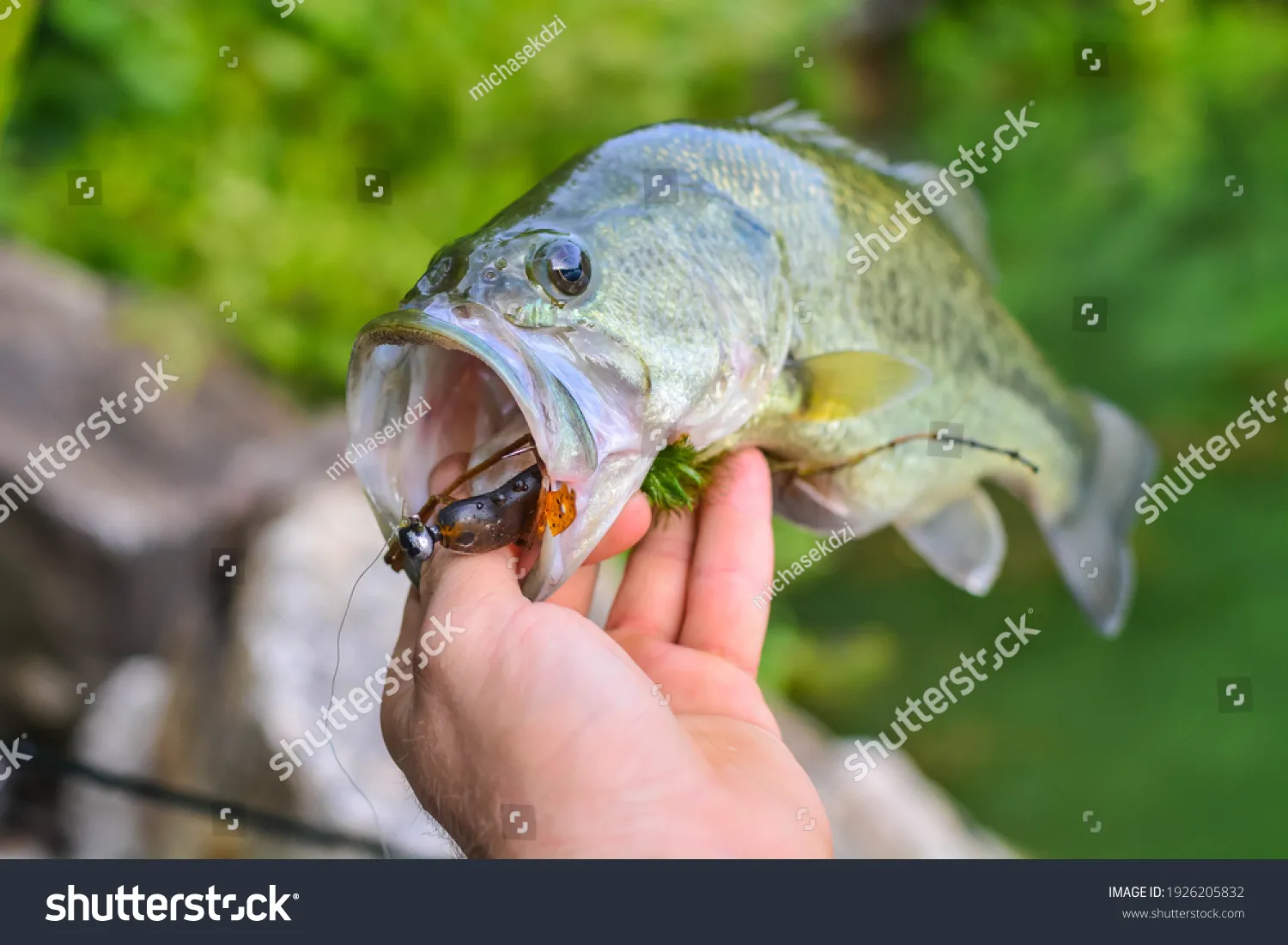 Bank Fishing 岸钓 Bass：别被网上的“神仙轮”忽悠了，新手选纺车轮只看这三点